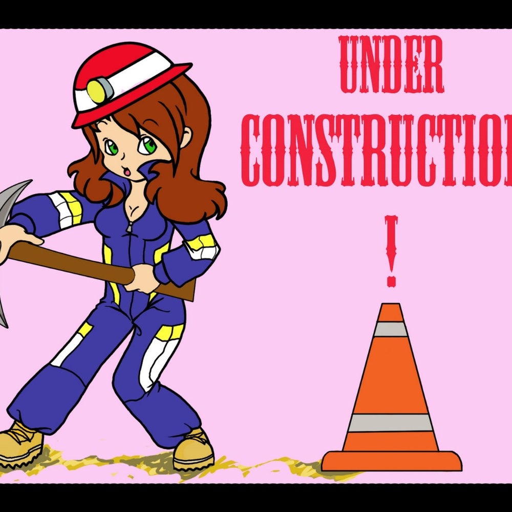 My closet is under construction